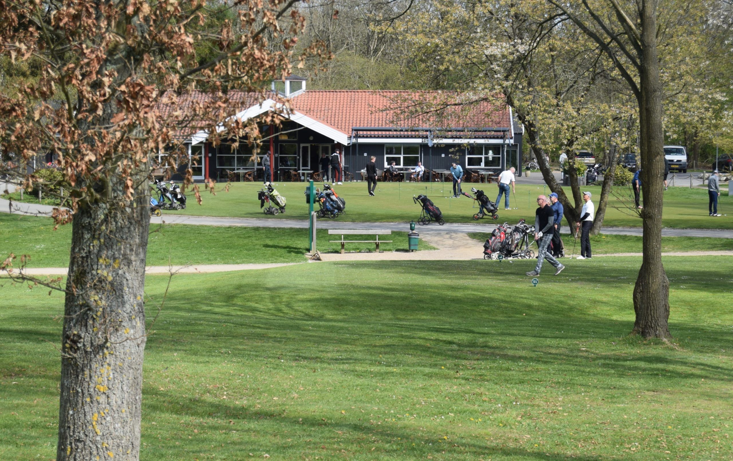 Tee 1
